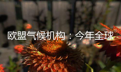 仅比2024年5月低0.14摄氏度