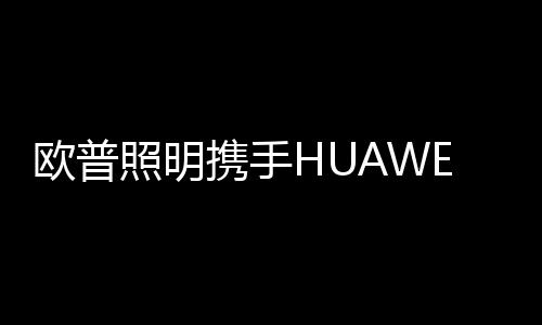 照明智能展开近日