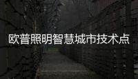欧普照明智慧城市技术点亮孟家庄乡村振兴之路