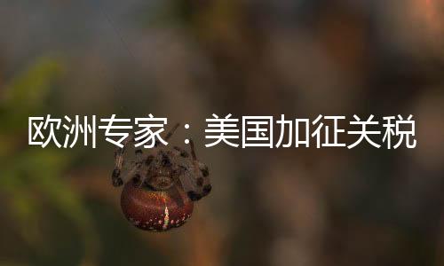 美国没因为经济模型显示