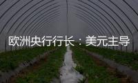 欧洲央行行长�
：美元主导地位正在变得不确定