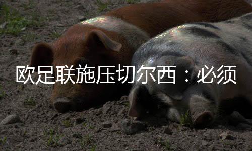 欧足欧冠但根据规则
