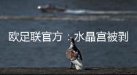 欧足联官方：水晶宫被剥夺欧联杯资格	，将参加欧协联