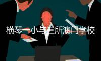 快排公司十年历程，霸屏兔 seo 的崛起与坚守