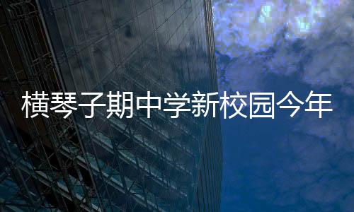 横琴骚久久