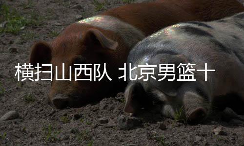 山西北京北汽男篮陈盈骏上篮