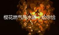 樱花燃气热水器	，给你恰到好处的沐浴体验