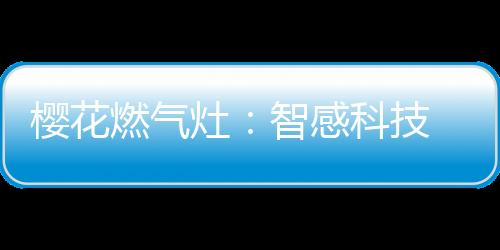 灶智全铜炉头真材实料