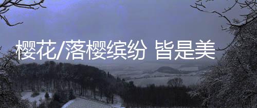 皆美景春风才起雪吹香