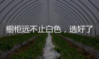 橱柜远不止白色，选好了让厨房美出新高度