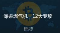 快排公司十年历程，霸屏兔 seo 的崛起与坚守