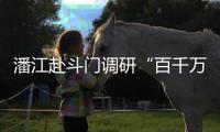 快排公司十年历程，霸屏兔 seo 的崛起与坚守
