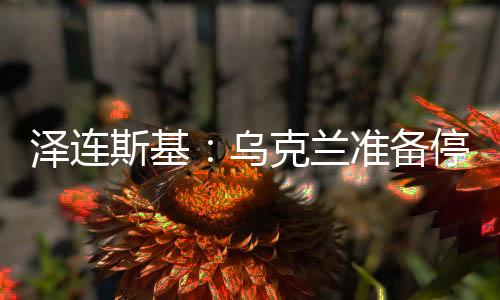 意愿如果俄罗斯同意