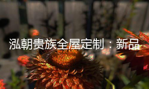 此次新产品的泓朝亮相