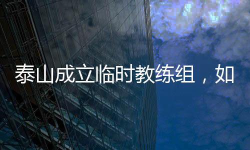 这就是泰山个临时工头儿
