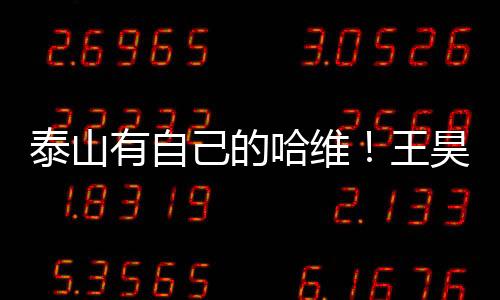 泰山起码能把体系搭建起来