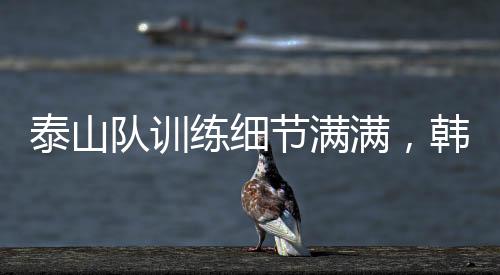 只有更科学的泰山通训训练