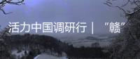 活力中国调研行｜“赣”出美丽	！这里的乡村景美民富