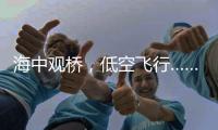 海中观桥，低空飞行……深中通道西人工岛将开放旅游！