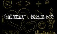 海底的宝矿
，捞还是不捞？｜世界海洋日