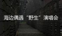 海边偶遇“野生”演唱会！珠海的夜晚 总有意想不到的惊喜