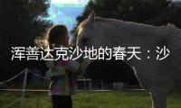浑善达克沙地的春天：沙窝子里孕生机
，年年有不同