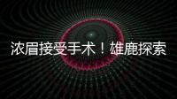 浓眉接受手术	！雄鹿探索签换库明加
	，瓦兰首度发声，约基奇新决定