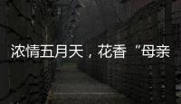 浓情五月天
，花香“母亲节”！担杆镇海岛之家开展母亲节插花活动