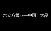 快排公司十年历程，霸屏兔 seo 的崛起与坚守