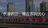 水浸农田，商丘农民忧心秋收秋种