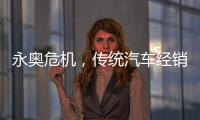 永奥危机，传统汽车经销商之困