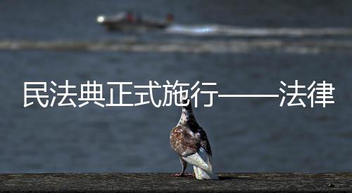 如故意侵害他人知识产权