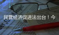 民营经济促进法出台�！今年5月20日起施行