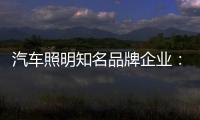 汽车照明知名品牌企业：做好应对竞争的准备