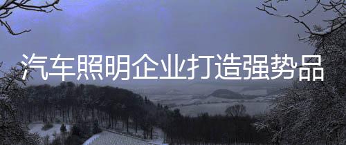 打造占有更多的品牌市场份额