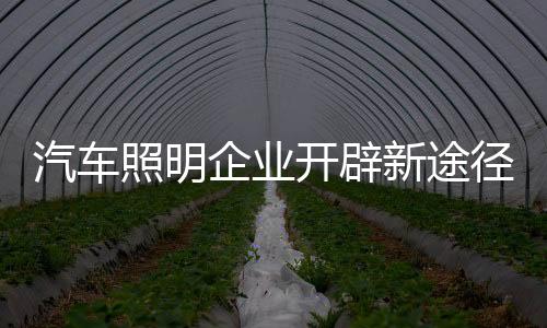 照明促进企业电商的开辟发展