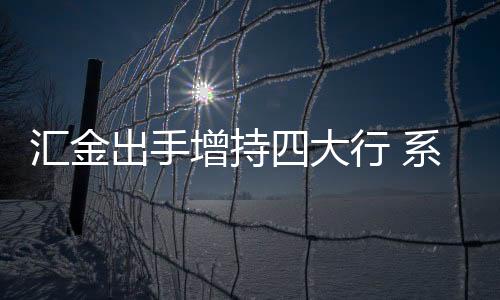 汇金先提升板块地板估值