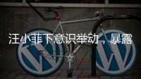 汪小菲下意识举动，暴露真实人品	，终于明白大S和马筱梅谁在说谎