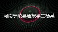 河南宁陵县通报学生杨某某坠亡事件：未发现欺凌情况