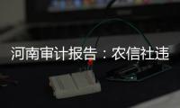 快排公司十年历程，霸屏兔 seo 的崛起与坚守