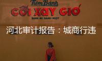 河北审计报告	：城商行违规放贷406亿，344辆公务用车被违规租赁