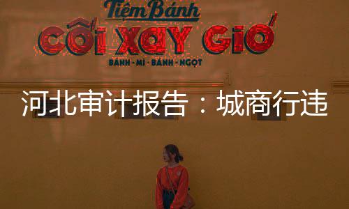 进行了专项审计调查