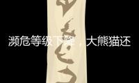 濒危等级下降，大熊猫还需要保护吗�
？