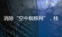 消除“空中蜘蛛网”，桂山镇整治“头顶难题”见成效