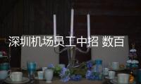 快排公司十年历程，霸屏兔 seo 的崛起与坚守