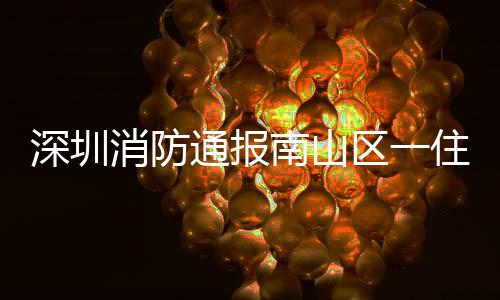 南山大队全勤指挥组遂行出动