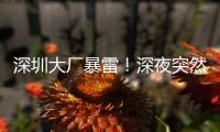 深圳大厂暴雷�！深夜突然宣布停工，员工集体失业
，老板疑似已跑路