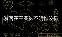 游客在三亚被不明物咬伤后身亡，官方通报：已成立调查组