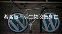 游客被不明生物咬伤身亡，三亚通报救治详情