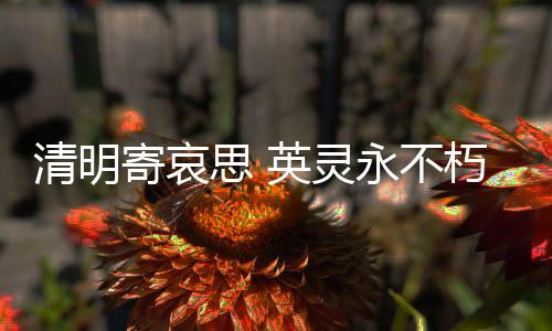 他们的功绩彪炳千秋